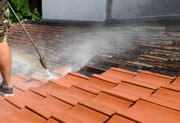 Roof Power Washing Services in Plain City, UT